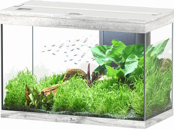 Produktbild von Aquatlantis Splendid 145 Aquarium-Set Esche weiß