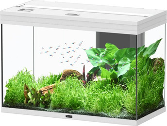 Produktbild von aquatlantis Splendid 145 weiß Aquarium mit Unterschrank Aquarium