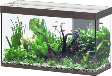 Aquatlantis Splendid 200 Aquarium-Set Wildeiche dunkel – Bild 1 von 4