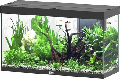Produktbild von aquatlantis Splendid 200 schwarz Aquarium mit Unterschrank Aquarium