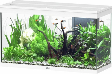 Produktbild von aquatlantis Splendid 200 weiß Aquarium mit Unterschrank Aquarium