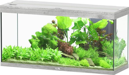 Produktbild von Aquatlantis Splendid 240 Esche Weiß Aquarium-Set