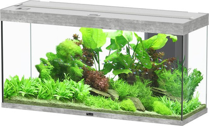 Produktbild von aquatlantis Splendid 240 Steinoptik Aquarium mit Unterschrank Aquarium