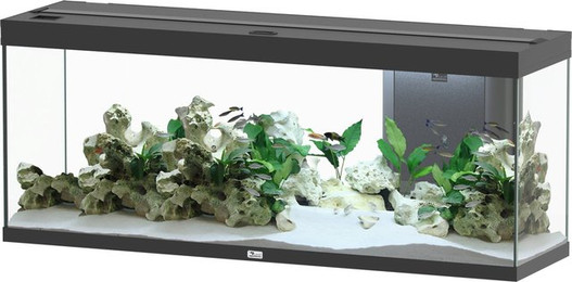 Produktbild von Aquatlantis Splendid 300 Schwarz Aquarium - 1 Set