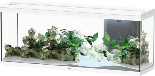 Produktbild von Aquatlantis Splendid 300 Weiß Aquarium-Set