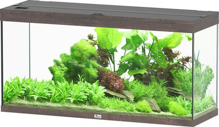 Aquatlantis Splendid Ultra 240 Wildeiche Dunkel Aquarium - 1 Stk – Bild 1 von 4