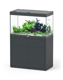 Produktbild von aquatlantis Sublime 245 100x50x60 Zentimeter Aquarium mit Unterschrank anthrazit