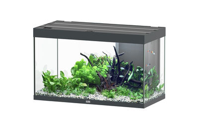 Produktbild von Aquatlantis Sublime 245 Anthrazit Aquarium-Set