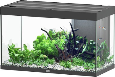 Produktbild von Aquatlantis Sublime 245 Piano Schwarz Aquarium-Set
