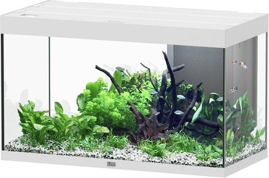 Produktbild von Aquatlantis Sublime 245 Piano Weiß Aquarium