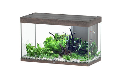 Produktbild von Aquatlantis Sublime 245 Wildeiche Dunkel Aquarium-Set