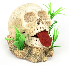 Produktbild von aquatlantis Totenkopf