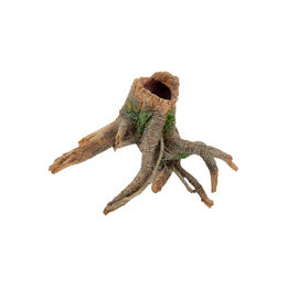 Produktbild von aquatlantis Wurzel