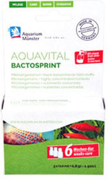 Produktbild von AQUAVITAL BACTOSPRINT 6-Wochen-Kur - 3 x 10 ml