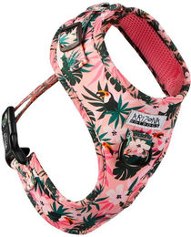 ARIZONA HOT DOGS Hunde-Geschirr Hundegeschirr Tropicool für kleine Hunde XS Bunt Arizona Hotdogs – Bild 1 von 5