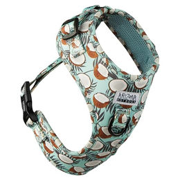 ARIZONA HOT DOGS Softgeschirr Coconut für kleine Hunde S – Bild 1 von 7