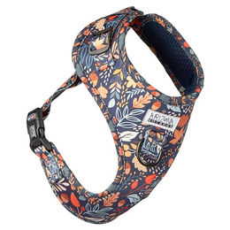 Arizona Hotdogs Softgeschirr Fall in Love Blattmuster für kleine Hunde S – Bild 1 von 7