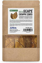 Produktbild von ARKA mySCAPE-CATAPPA Blätter Seemandelbaum