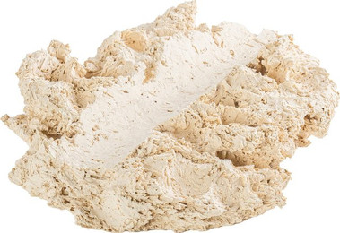 Produktbild von ARKA Riffkeramik Muschelhalter L