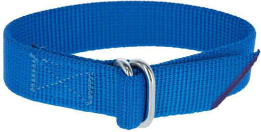 Produktbild von Armband für markierte Nummern, Schnallenverschluss Kerbl