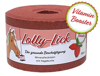 Atemwegsergänzungsfuttermittel für Pferde AmaHorse Lolly Lick – Bild 1 von 6