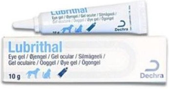 Produktbild von Augengel Dechra Lubrithal