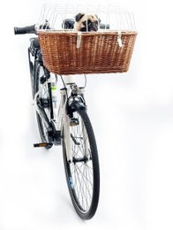 Produktbild von Aumüller Tier-Fahrradkorb Weide
