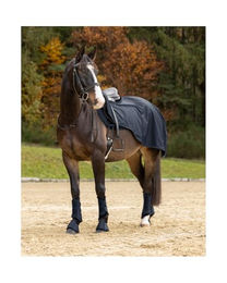 Ausreitdecke Livorno – Bild 1 von 8