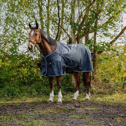 Produktbild von Außendecke für Pferde Riding World Eco 1200D 50g
