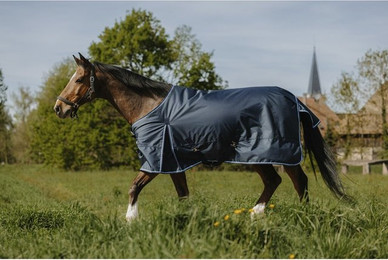 Produktbild von Außendecke für Pferde Riding World Eco 1200D 50g