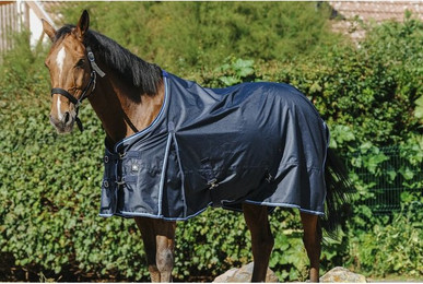 Produktbild von Außendecke für Pferde Riding World Eco 600D 220g