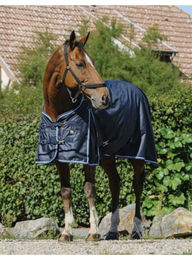 Außendecke für Pferde Riding World Eco 600D 50g – Bild 1 von 3