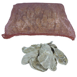 Produktbild von Austernschalen 5 kg im Beutel