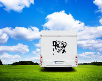 Produktbild von Australian Shepherd Kopf Wohnmobil Aufkleber