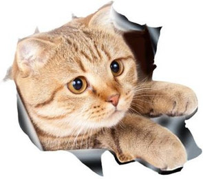 Produktbild von Auto 3D Katze oder Hund Aufkleber - 1 Stk.