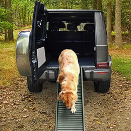 Produktbild von Auto Hunderampe klappbar Anti-Rutsch Olivgrün 155x40cm