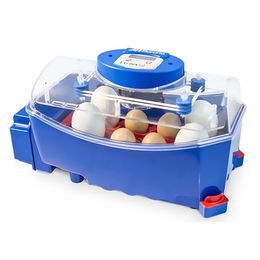 Automatische Brutmaschine 8 Eier Borotto Lumia – Bild 1 von 11