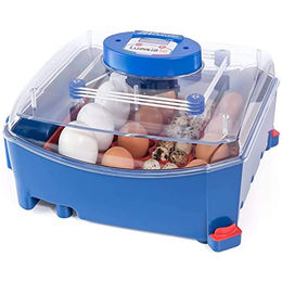 Automatische Brutmaschine Borotto Lumia 16 Eier – Bild 1 von 8