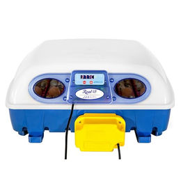 Automatische digitale Brutmaschine für 49 Eier Borotto – Bild 1 von 12