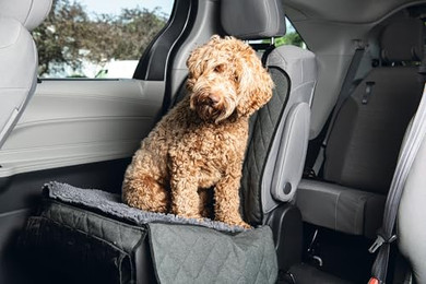 Produktbild von Autoschondecke Dirty Dog für Hunde