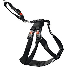 Produktbild von Autosicherheitsgeschirr XL Schwarz verstellbar