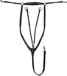 Produktbild von Abnehmbares Martingal aus Leder für Pferde von Equestro in Schwarz