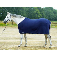 Produktbild von Abschwitzdecke BASIC II Blau