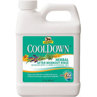 Produktbild von Absorbine Cool Down Waschlotion Shampoo 900 ml