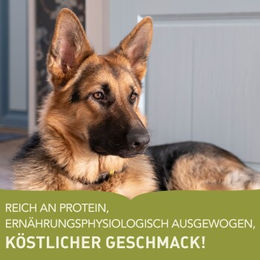 Acana Adult Large Breed Hundefutter mit Huhn Truthahn und Fisch getreidefrei 2x11,4 kg - 2 x 11,4 kg – Bild 1 von 2