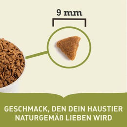 Produktbild von Acana Indoor Entrée Katzenfutter für Wohnungskatzen mit Huhn, Truthahn, Hering und Kaninchen 2x4,5 kg - 2 x 4,5 kg