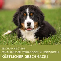 Produktbild von Acana Welpenfutter für große Rassen 2x11,4 kg