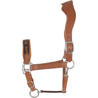Produktbild von Acavallo Anatomisches Lederhalfter für Warmblut Pferde in Schwarz