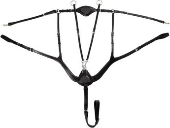 Acavallo Anatomisches Lederplastron mit 5-Punkt-Befestigung für Warmblut in Schwarz – Bild 1 von 2