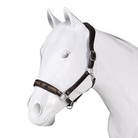 Produktbild von Acavallo Pferdehalfter aus Leder in Braun für Warmblut